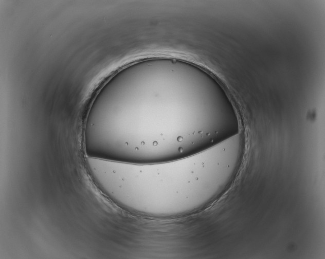 X0000116261507200911300940