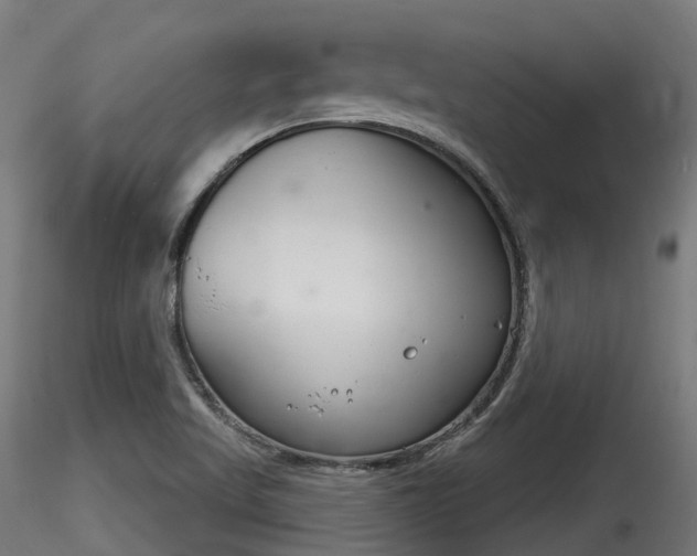 X0000116261509200911300940