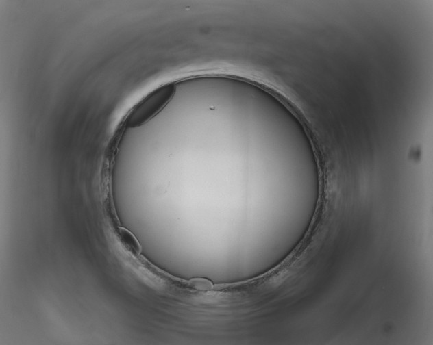 X0000116261510200911300940