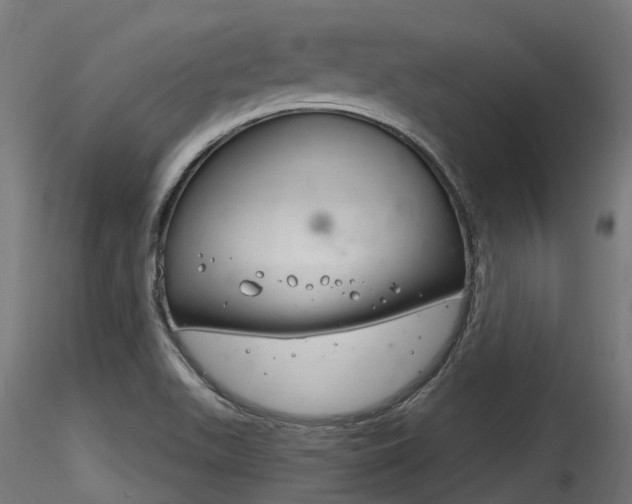 X0000116261511200911300940