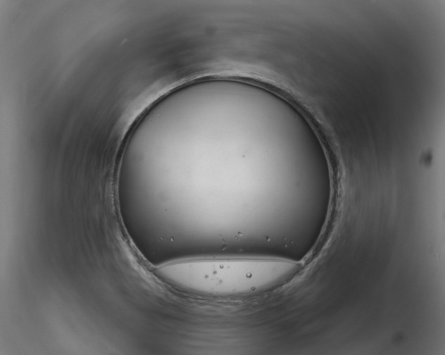 X0000116261513200911300940