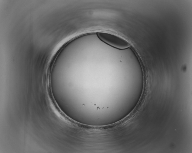 X0000116261515200911300940