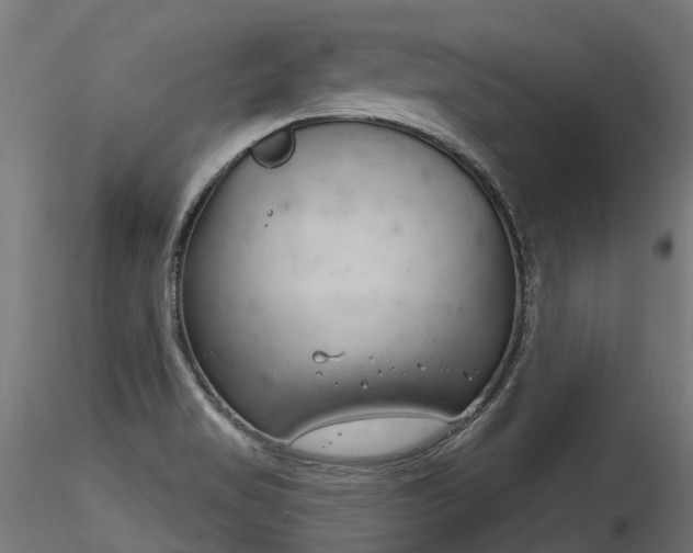 X0000116261517200911300940