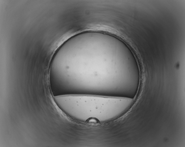 X0000116261521200911300940