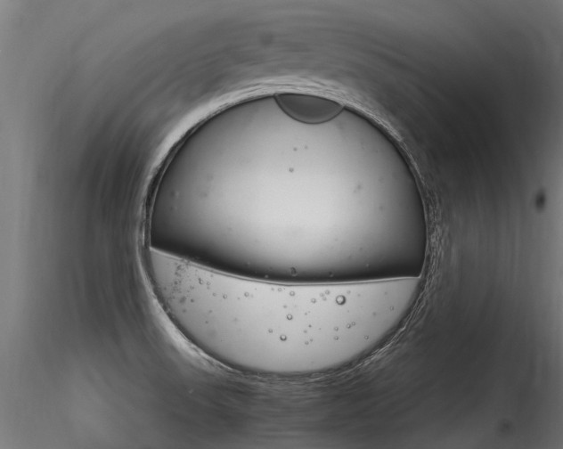 X0000116261523200911300940
