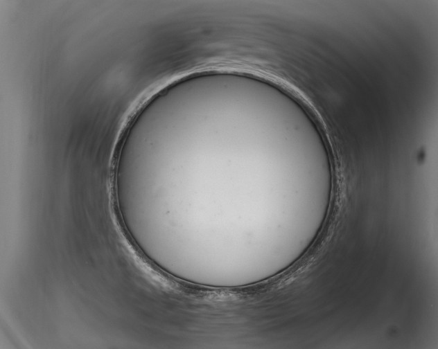 X0000116261525200911300940