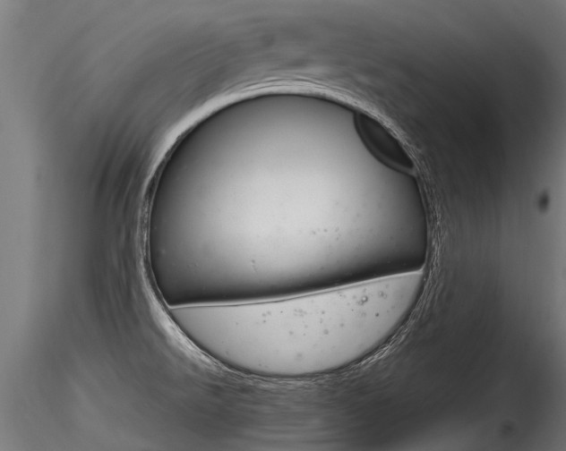X0000116261526200911300940