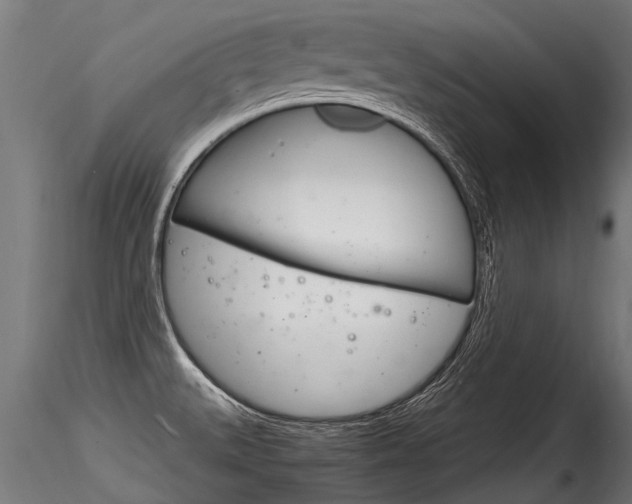 X0000116261527200911300940