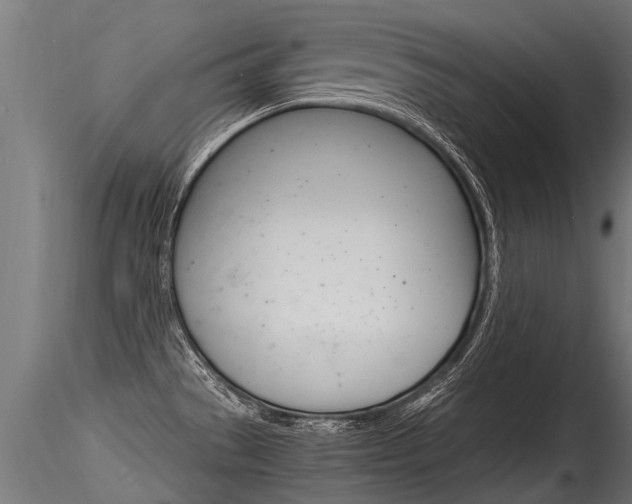 X0000116261529200911300940