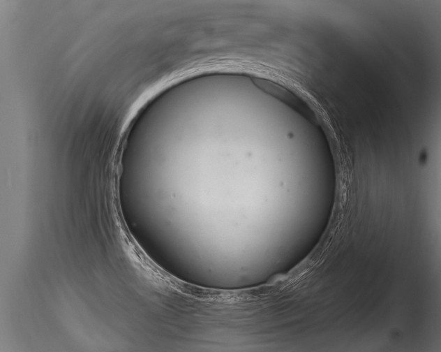X0000116261530200911300940