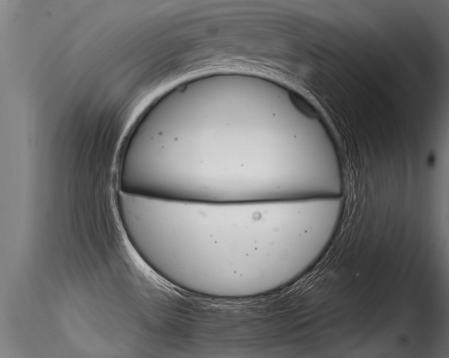 X0000116261531200911300940