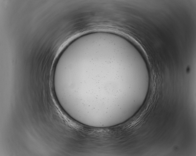 X0000116261533200911300940