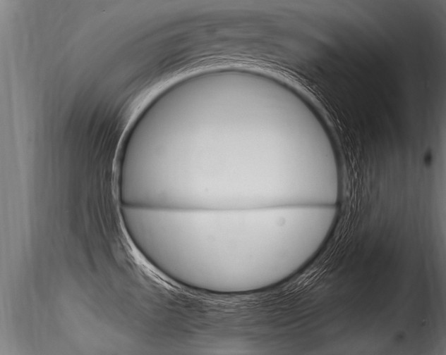 X0000116261535200911300940