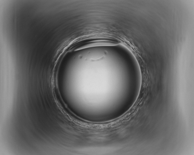 X0000116260002200911301202
