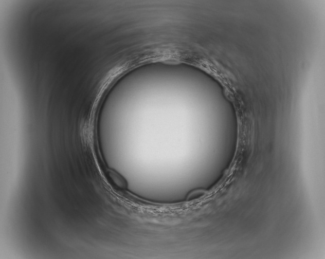 X0000116260003200911301202