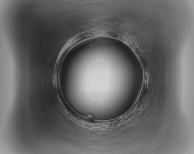 X0000116260004200911301202