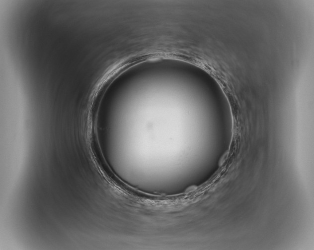 X0000116260005200911301202