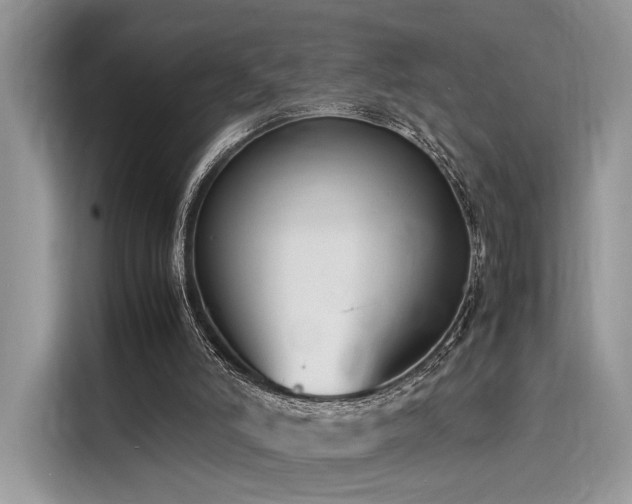 X0000116260006200911301202