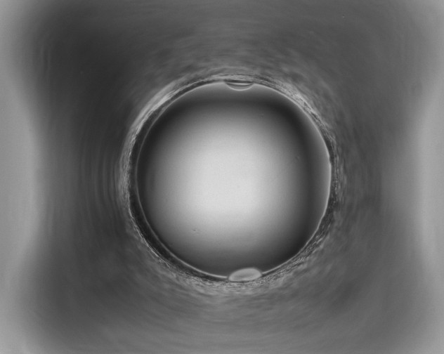 X0000116260007200911301202