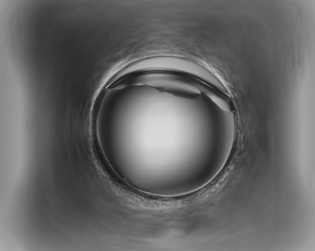 X0000116260008200911301202