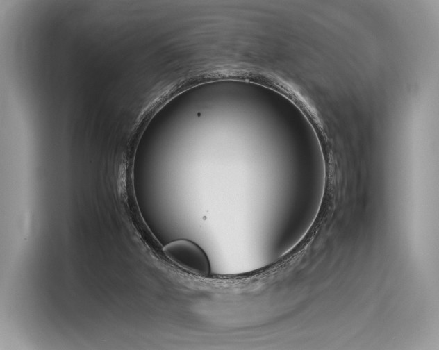 X0000116260010200911301202
