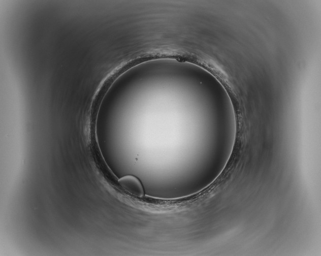 X0000116260012200911301202
