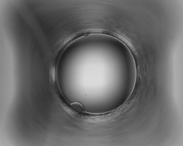 X0000116260013200911301202