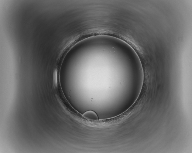 X0000116260014200911301202