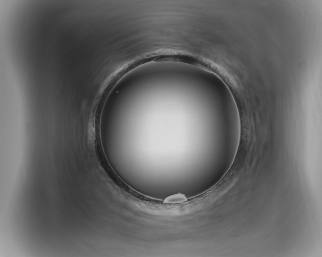 X0000116260015200911301202