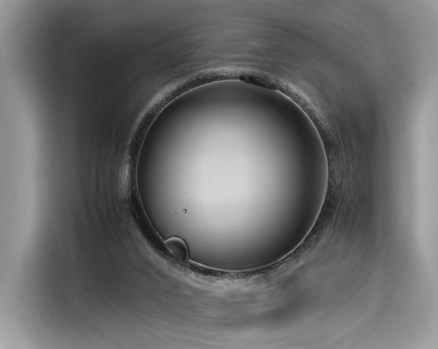 X0000116260016200911301202