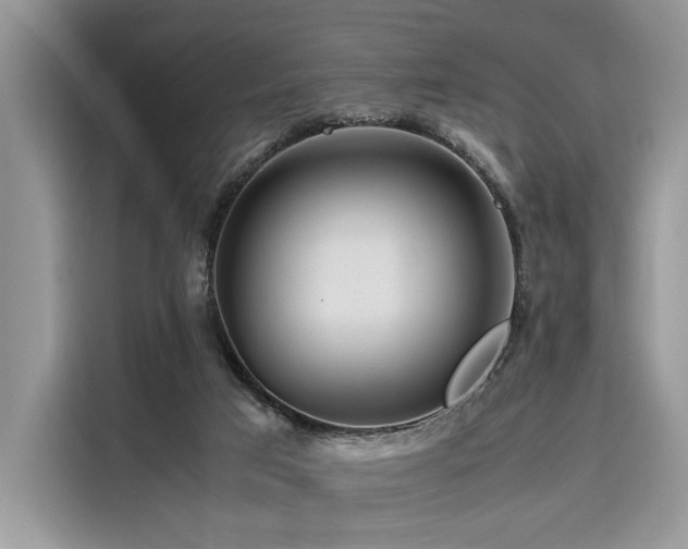 X0000116260017200911301202