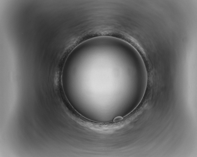 X0000116260018200911301202