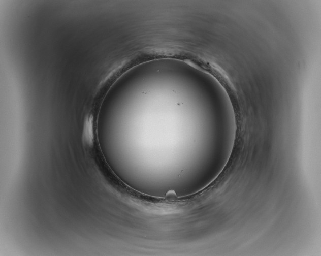 X0000116260020200911301202