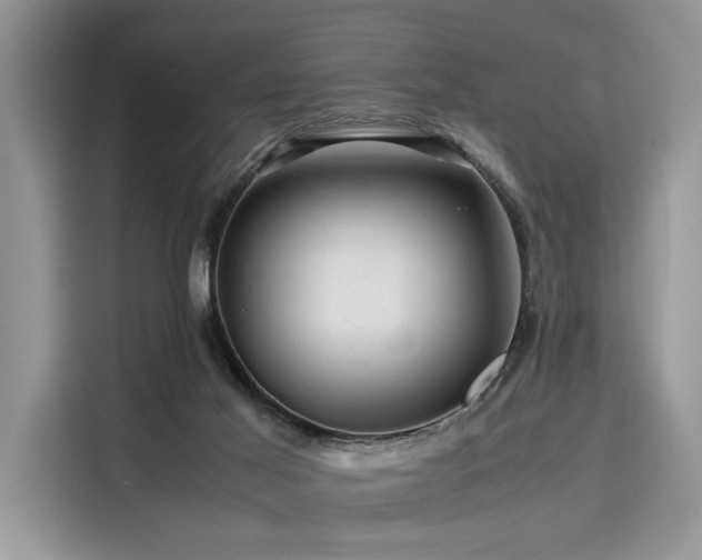 X0000116260021200911301202