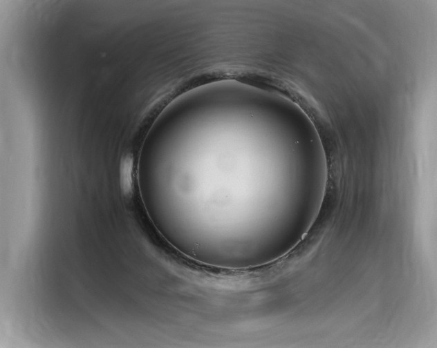 X0000116260024200911301202