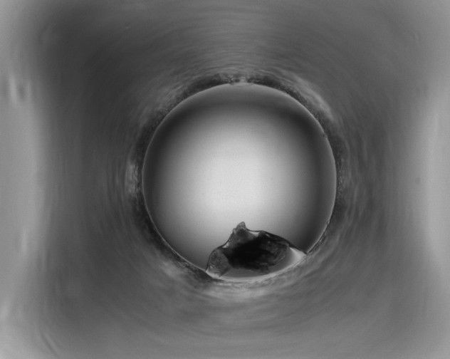 X0000116260025200911301202