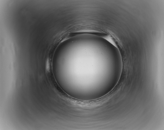 X0000116260026200911301202
