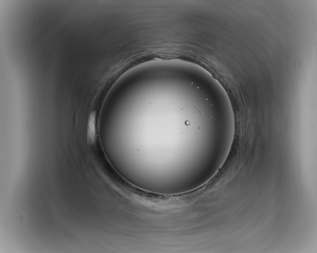 X0000116260028200911301202