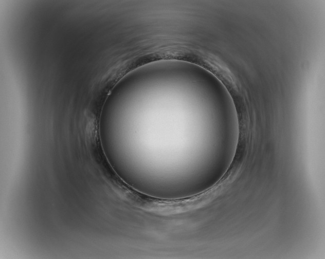 X0000116260029200911301202