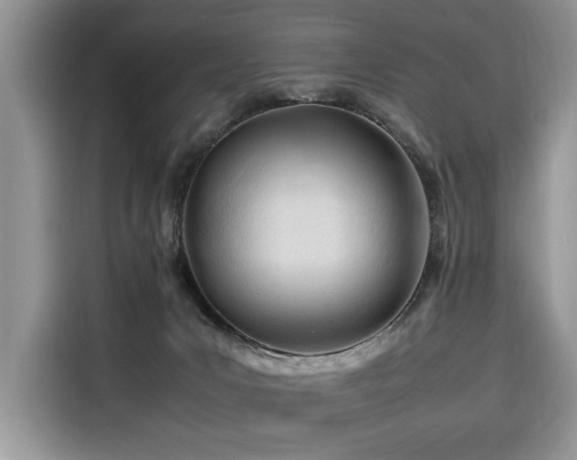 X0000116260031200911301202