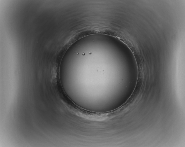 X0000116260032200911301202