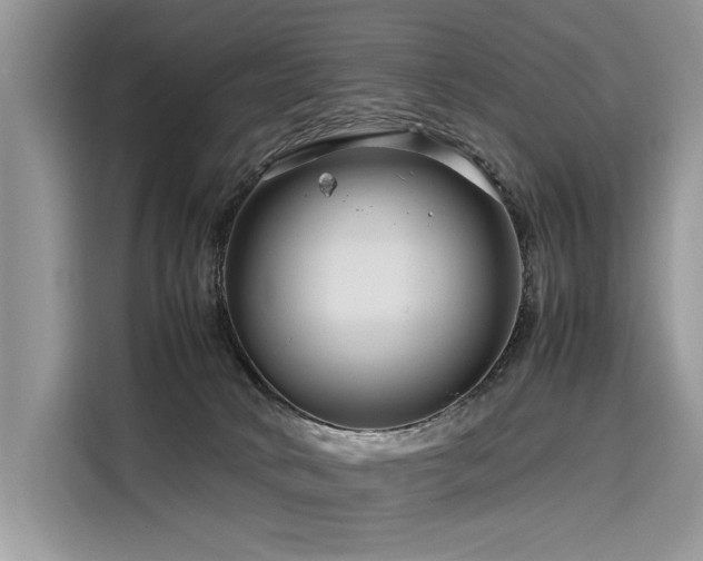 X0000116260034200911301202