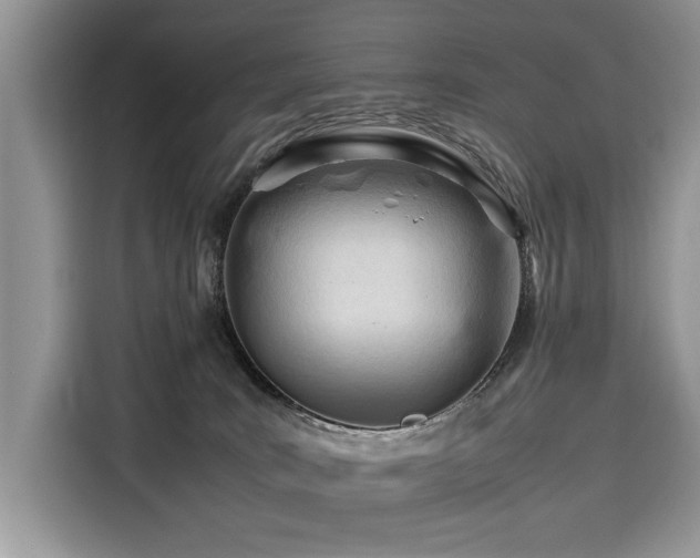 X0000116260035200911301202