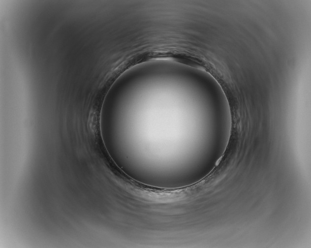 X0000116260036200911301202