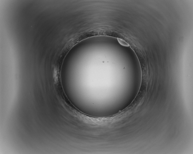 X0000116260038200911301202