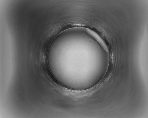 X0000116260039200911301202