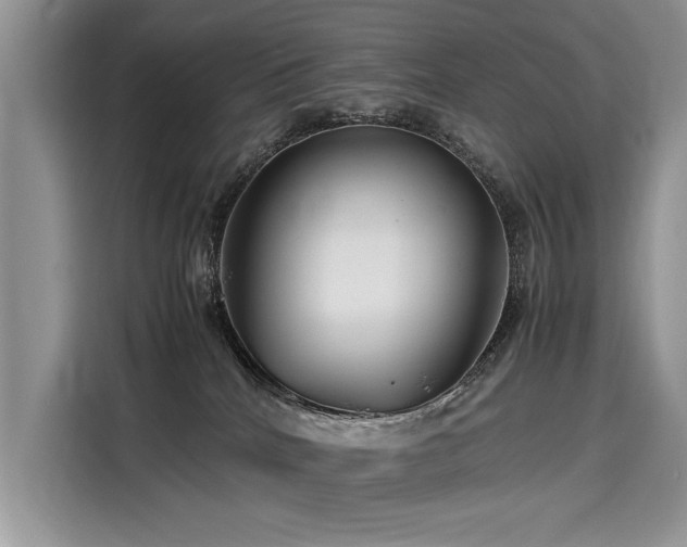 X0000116260040200911301202