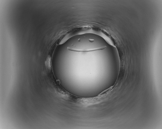 X0000116260041200911301202
