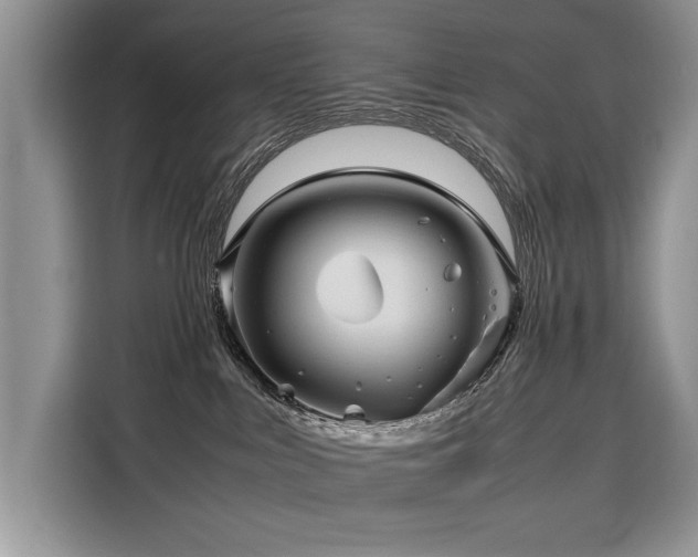 X0000116260043200911301202