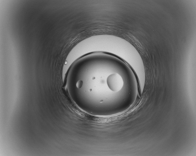 X0000116260045200911301202